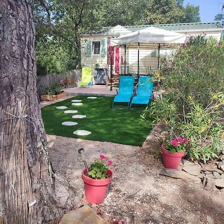 Mobil Dans Aquatique