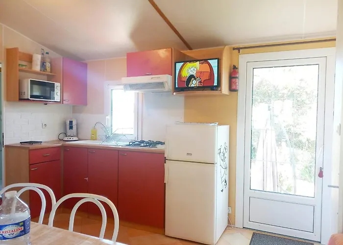 Camping Mobil Dans Aquatique *